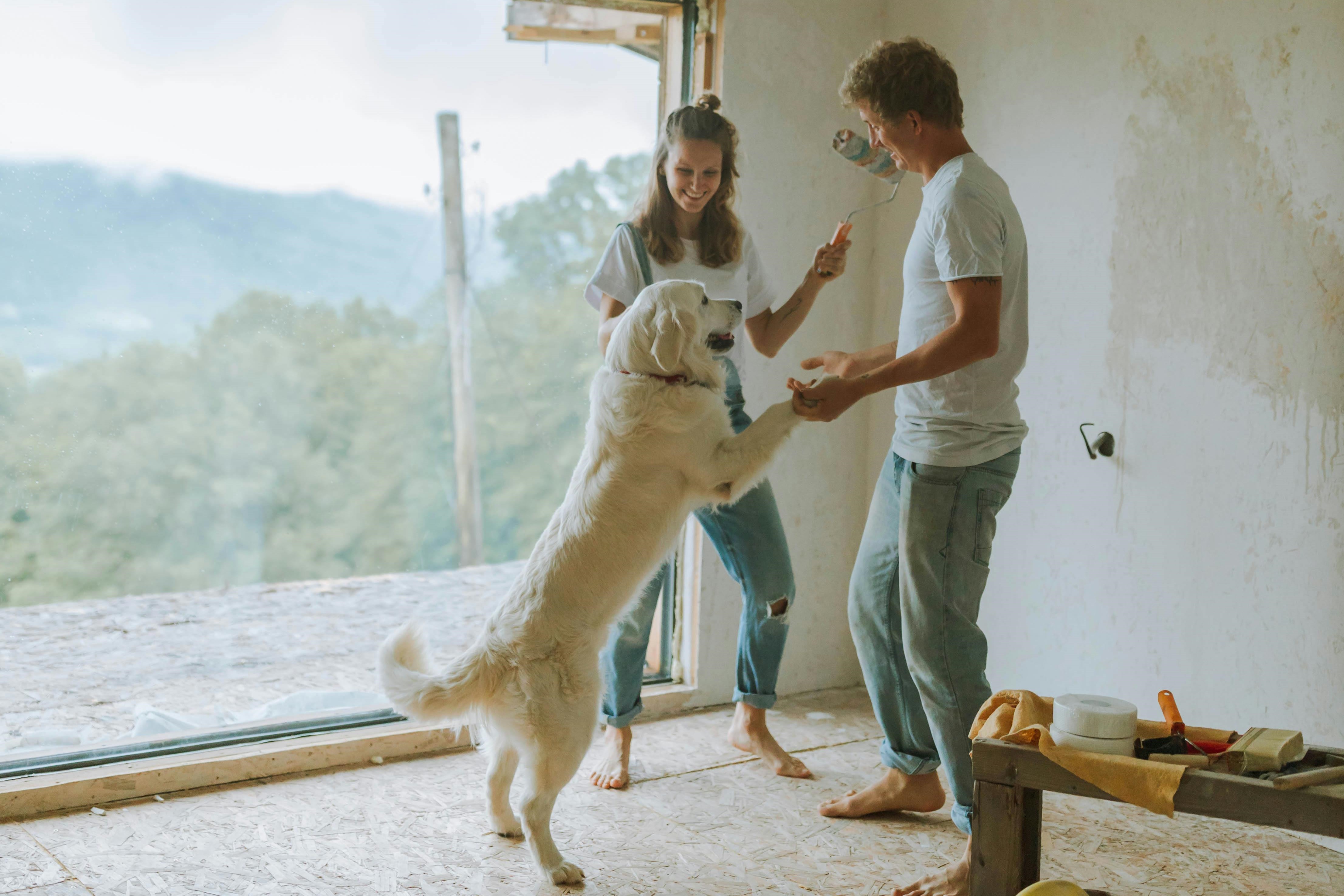 Mann und Frau spielen mit dem Hund und renovieren das Haus